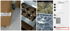 <b>出具了虚假健康</b>